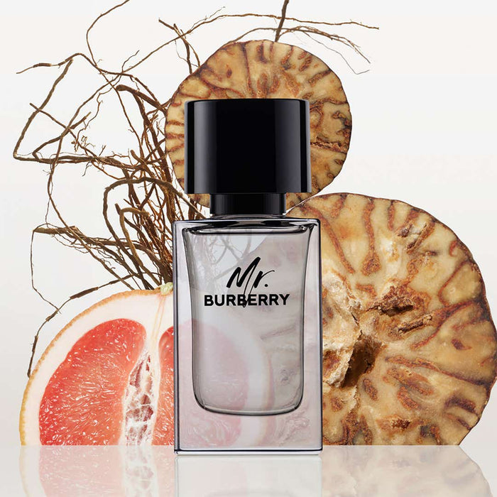 Burberry Mr. Burberry Eau De Toilette For Men