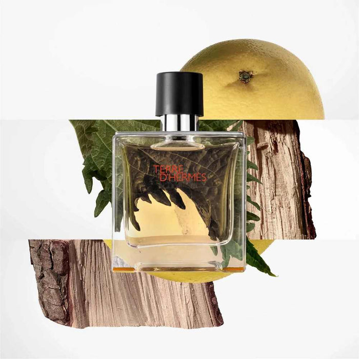 Hermes Terre D'Hermes Parfum For Men